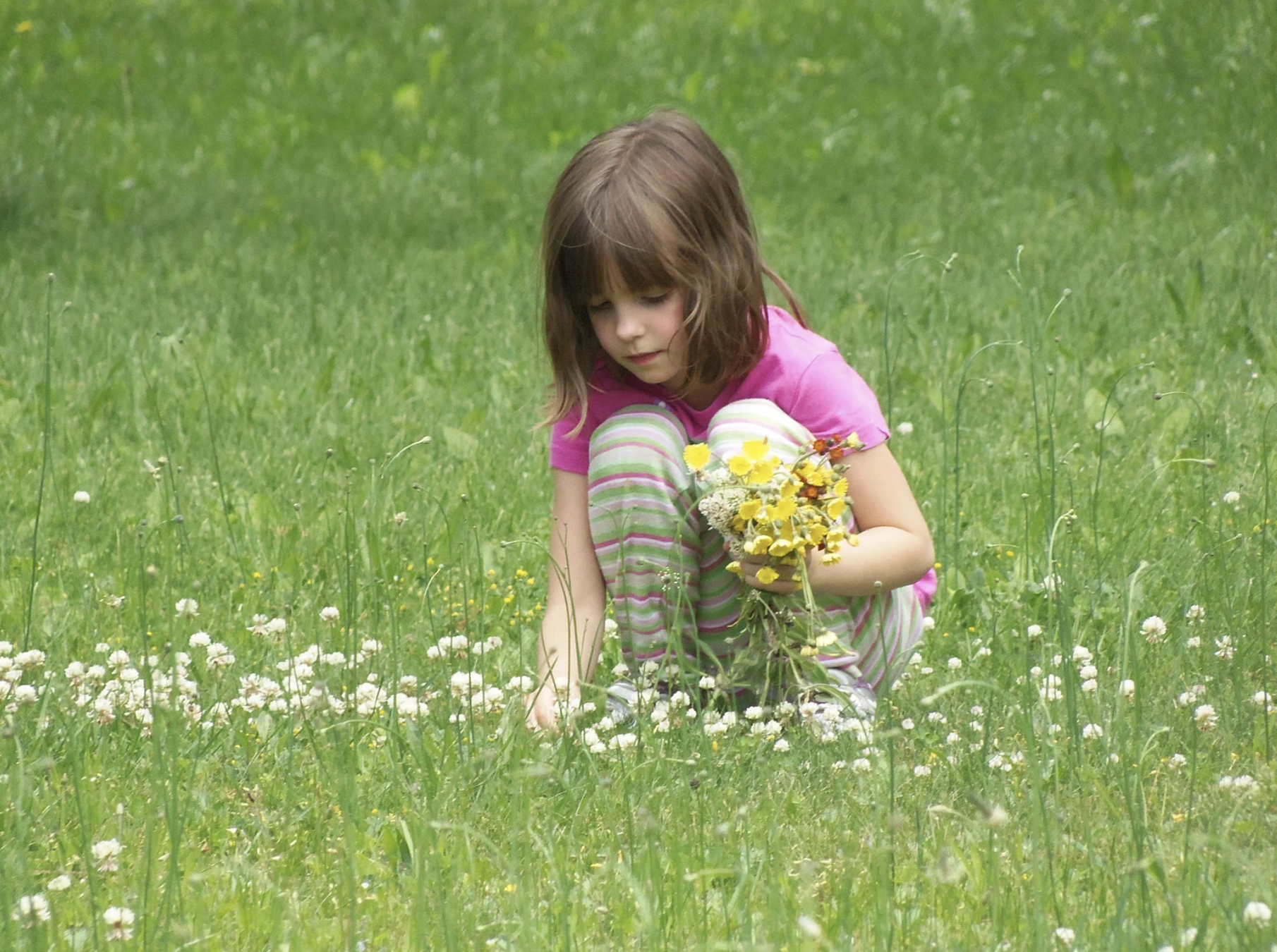 Blog - Girl On Grass